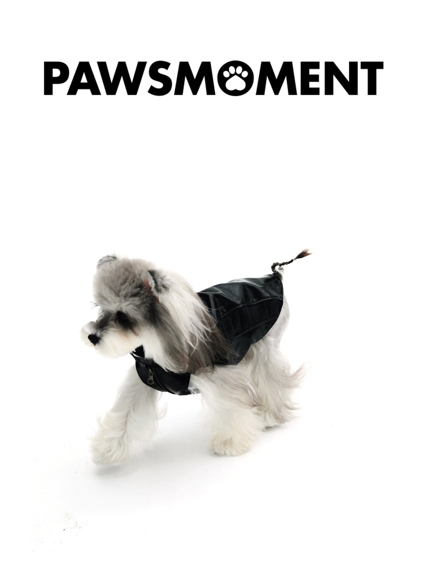 Small Dog Biker Style Leather Jacket