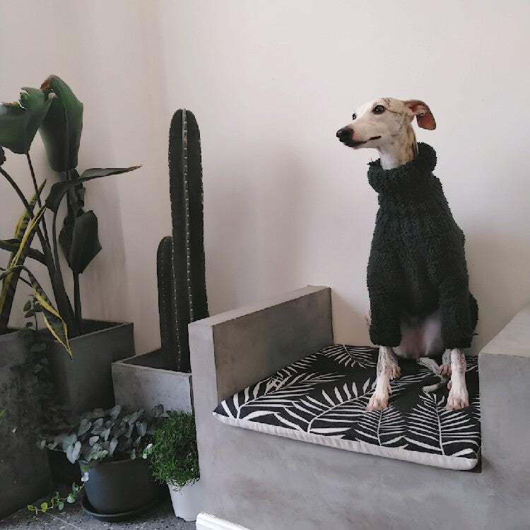Custom Dog Sweaters Jumpsuit for Whippet Greyhound