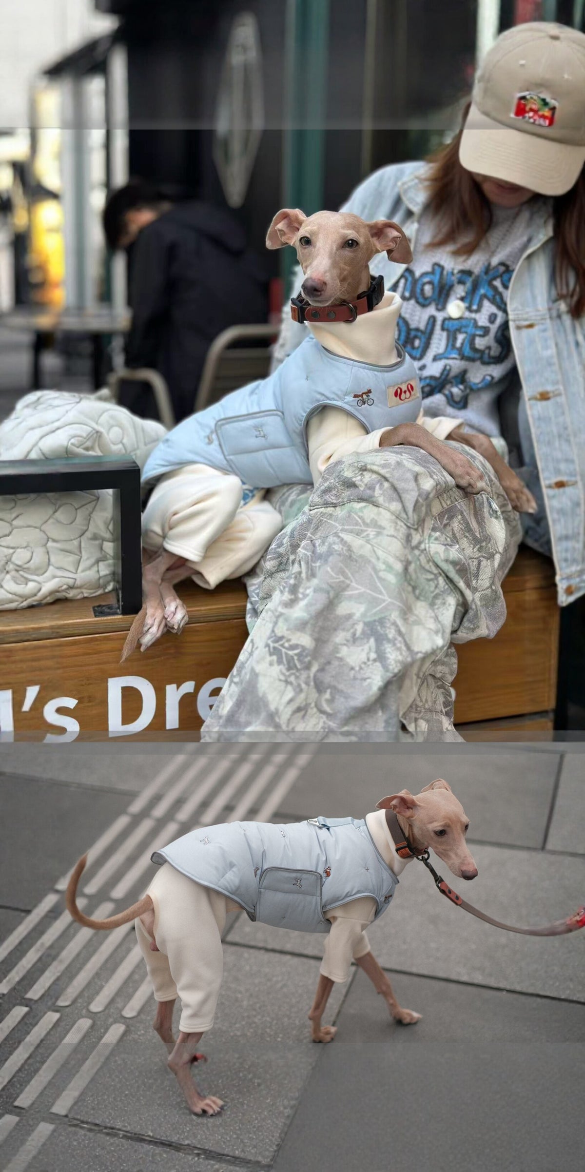 Dog Down Vest & Scarf, Sold Separately