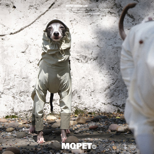 UPF100+ Cooling Dog Jumpsuit