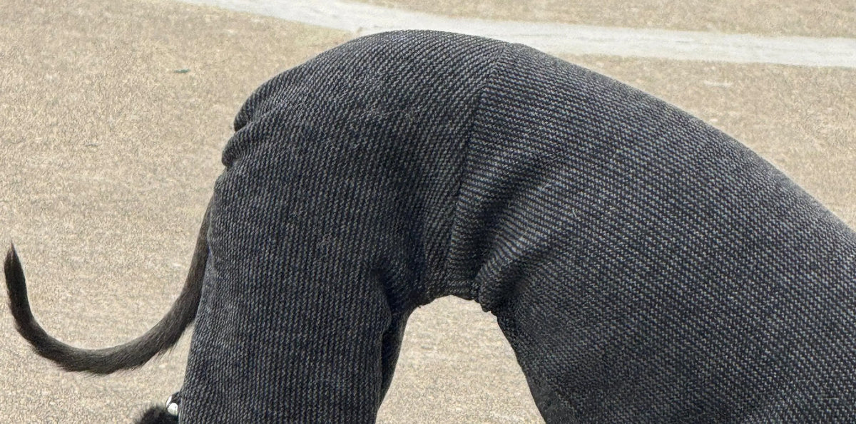 York Black Cashmere Touch Dog Onesie view 3