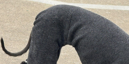 York Black Cashmere Touch Dog Onesie view 3