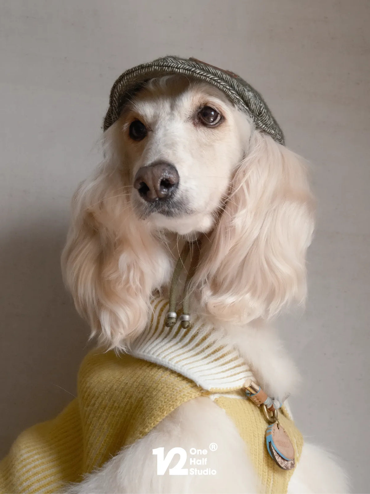 Cocker spaniel in a cream newsboy cap