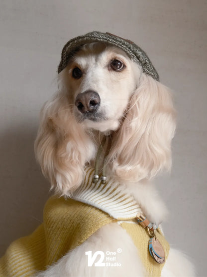 Cocker spaniel in a cream newsboy cap
