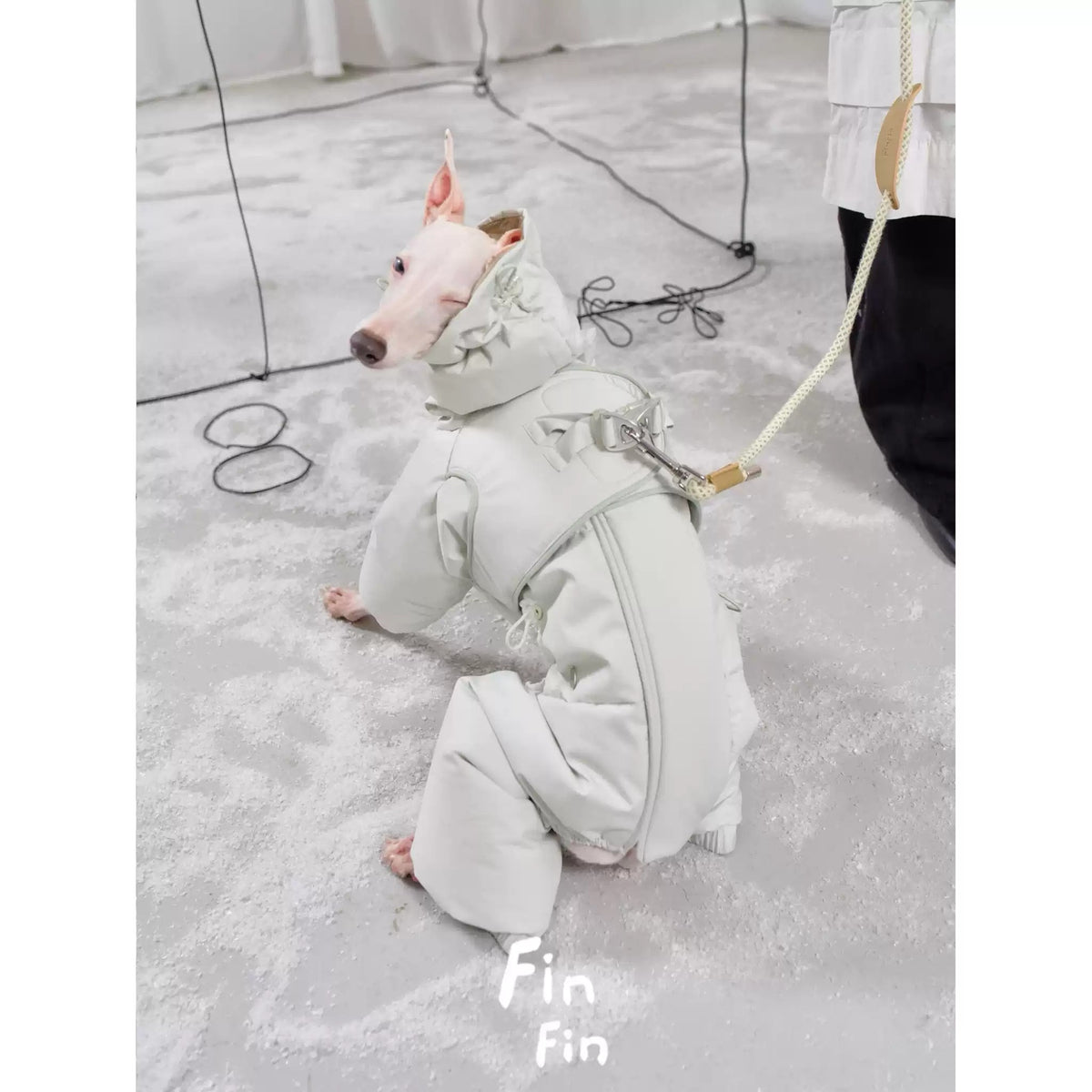 Down Dog Jacket with Built-In Harness photo 3