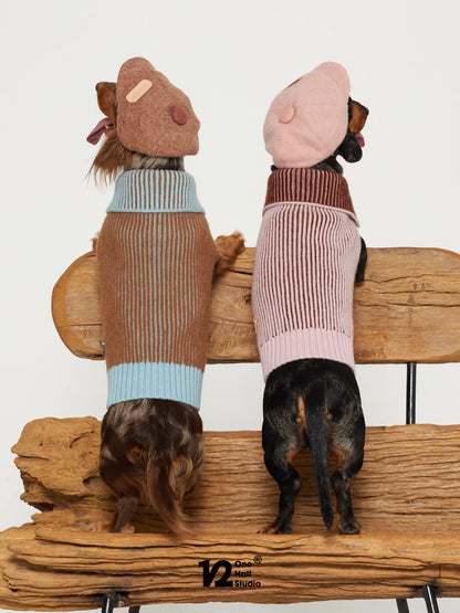 Two dogs in caps and matching knit sweaters
