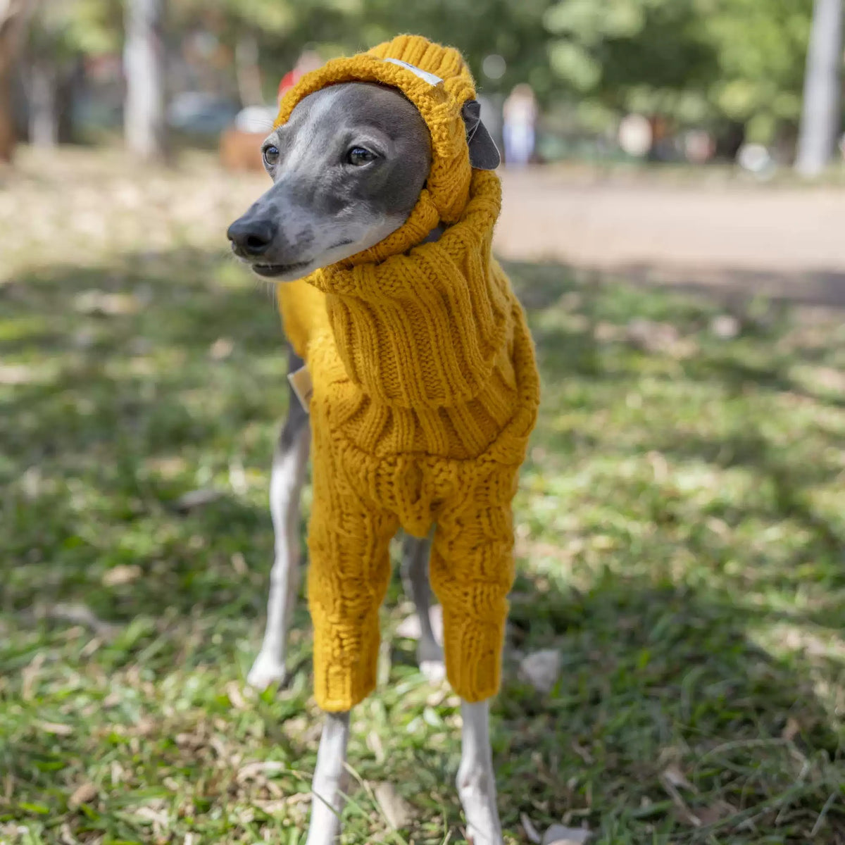 Yellow Hooded Knit Dog Sweater photo 3