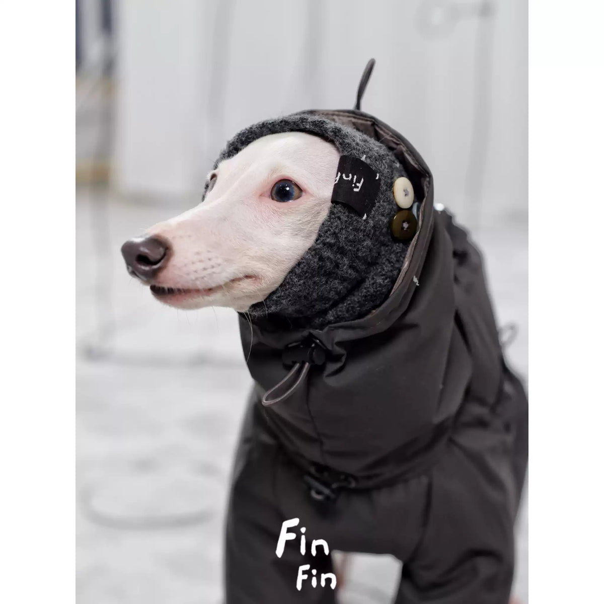 Knit Hood Snood for Dogs photo 3