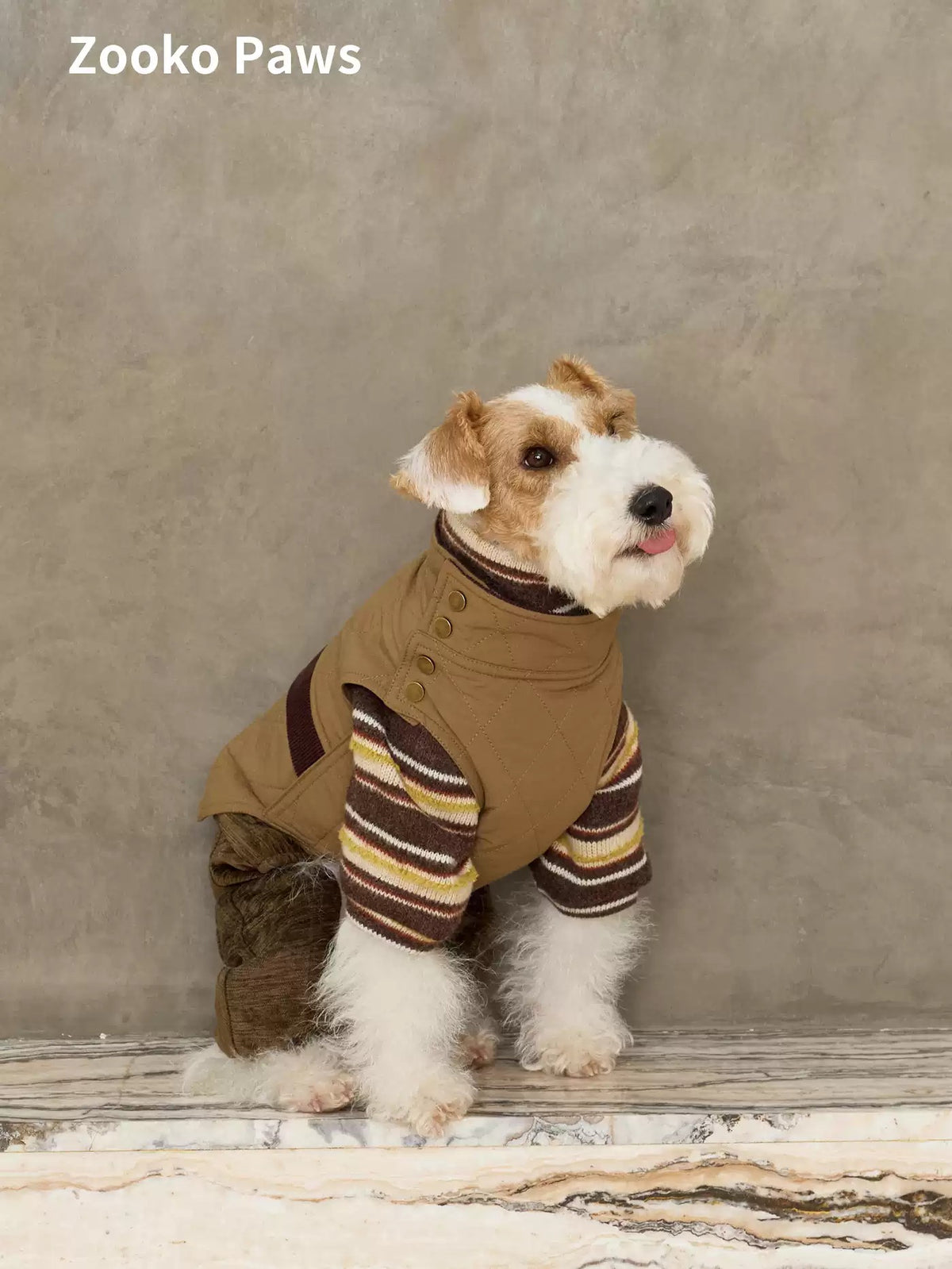 Padded Dog Vest photo 3