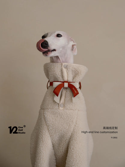 Whippet in a red bow collar, front view