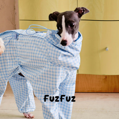 Blue white plaid windbreaker on a standing dog