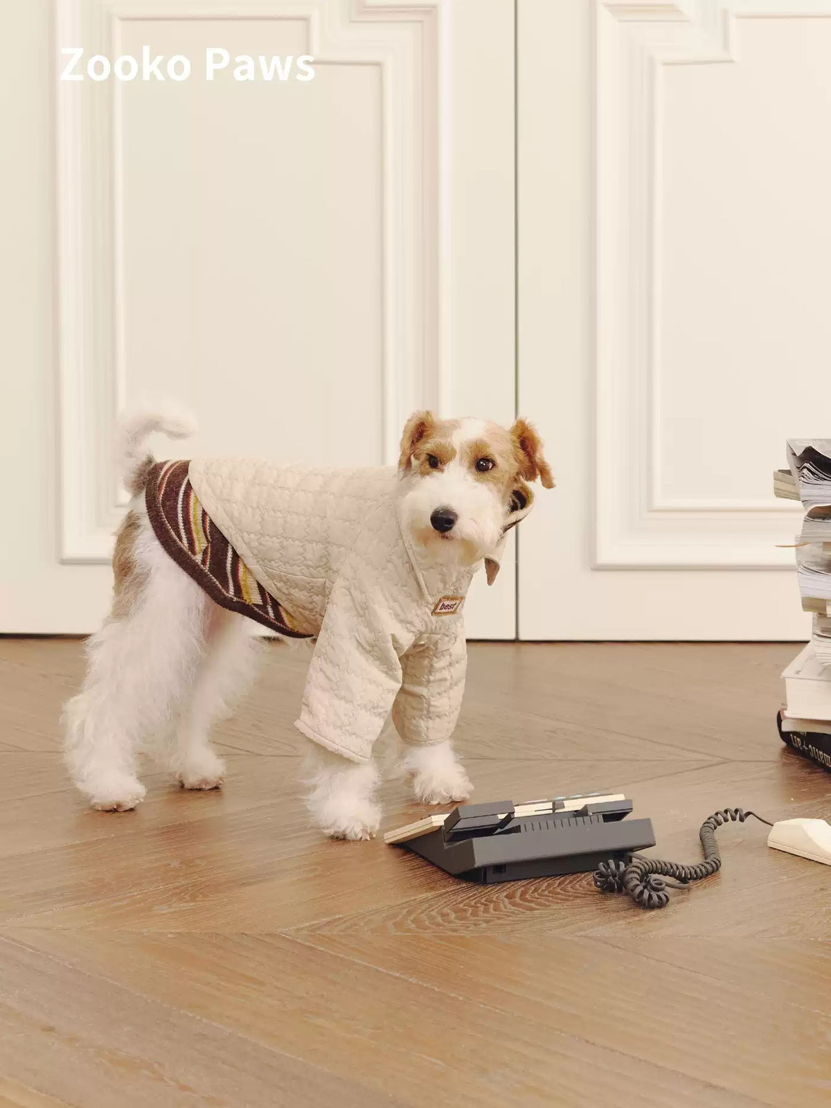 Biscuit texture dog jacket photo 3
