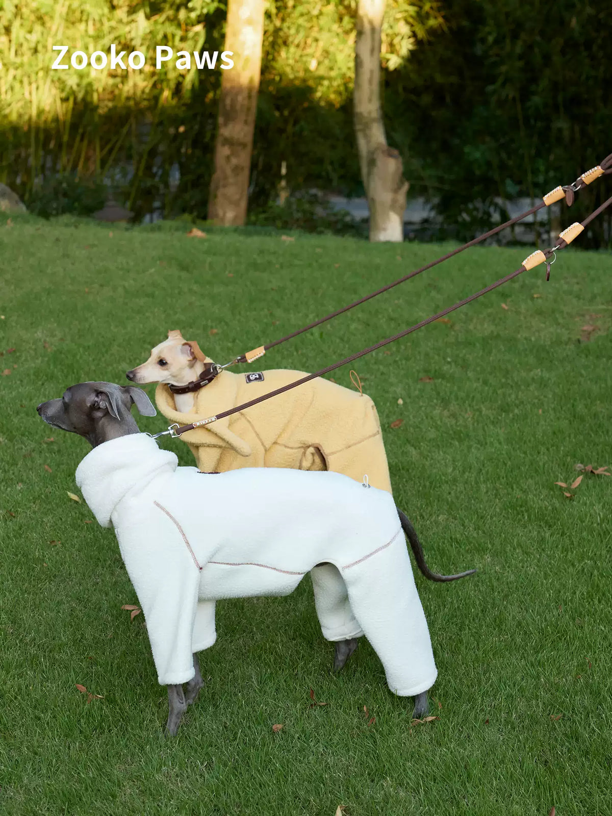 Dog wearing a leather collar on grass