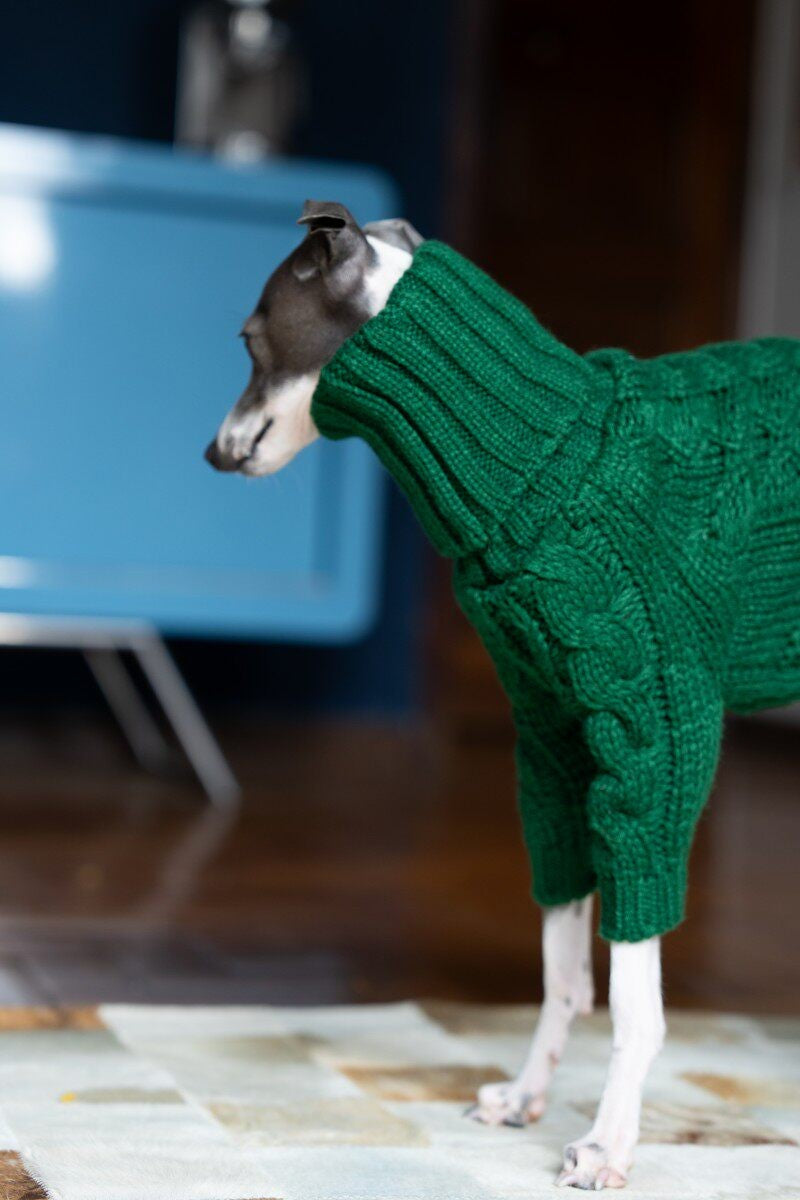 Dark Green Cable Knit Dog Sweater photo 3