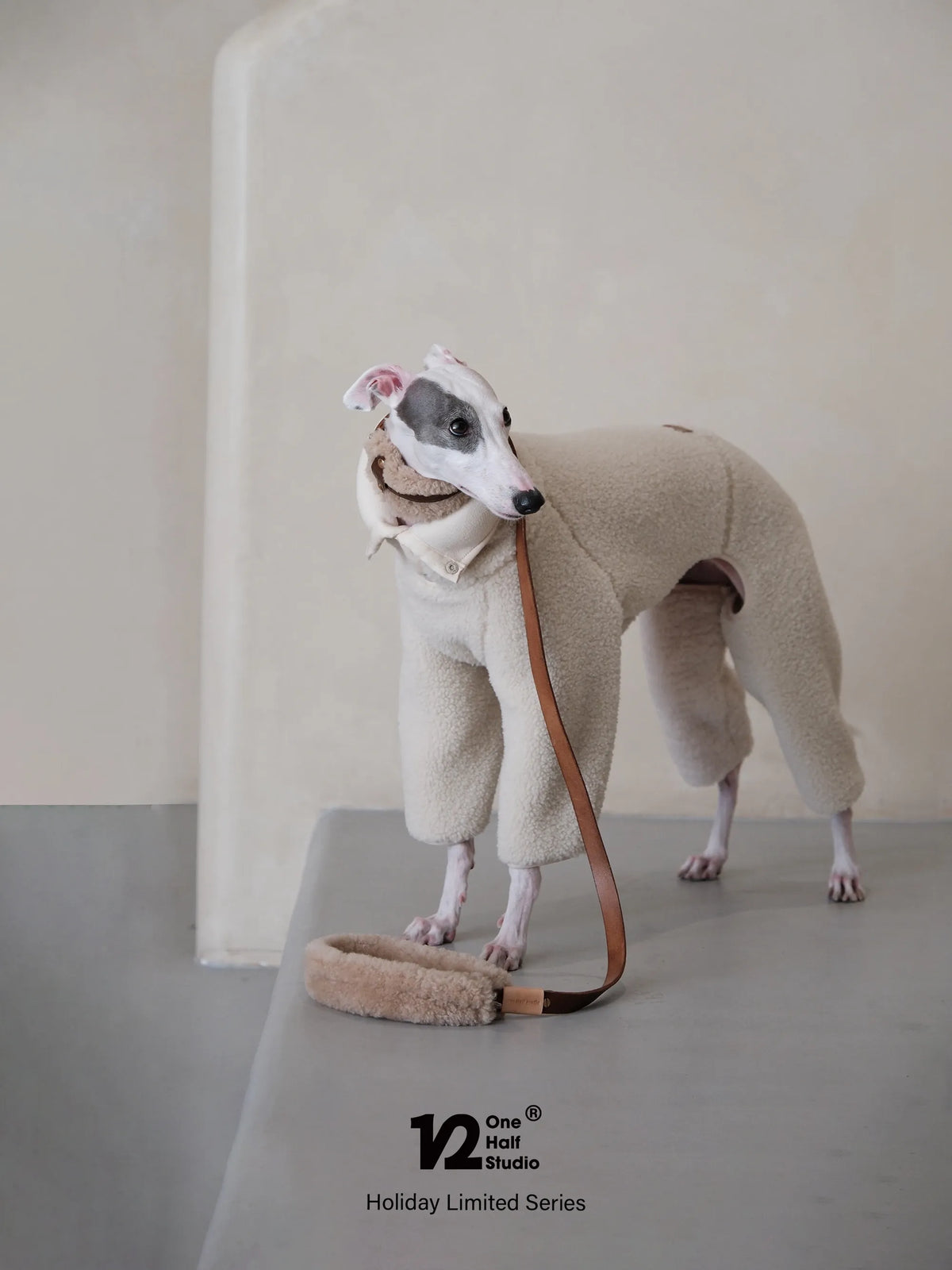 Cream sherpa collar on a whippet