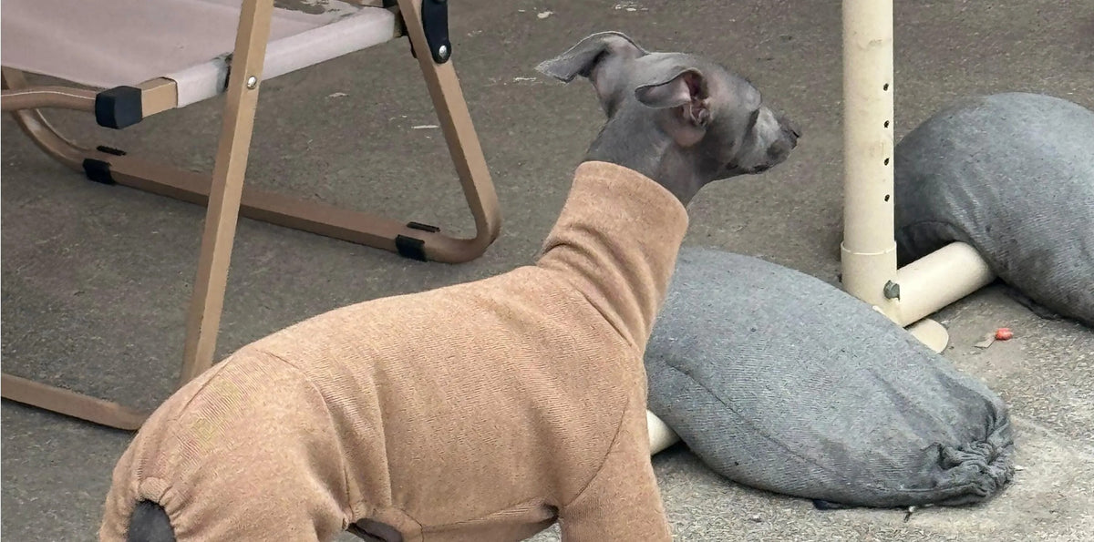 Chestnut Fleece Knit Dog Onesie view 3
