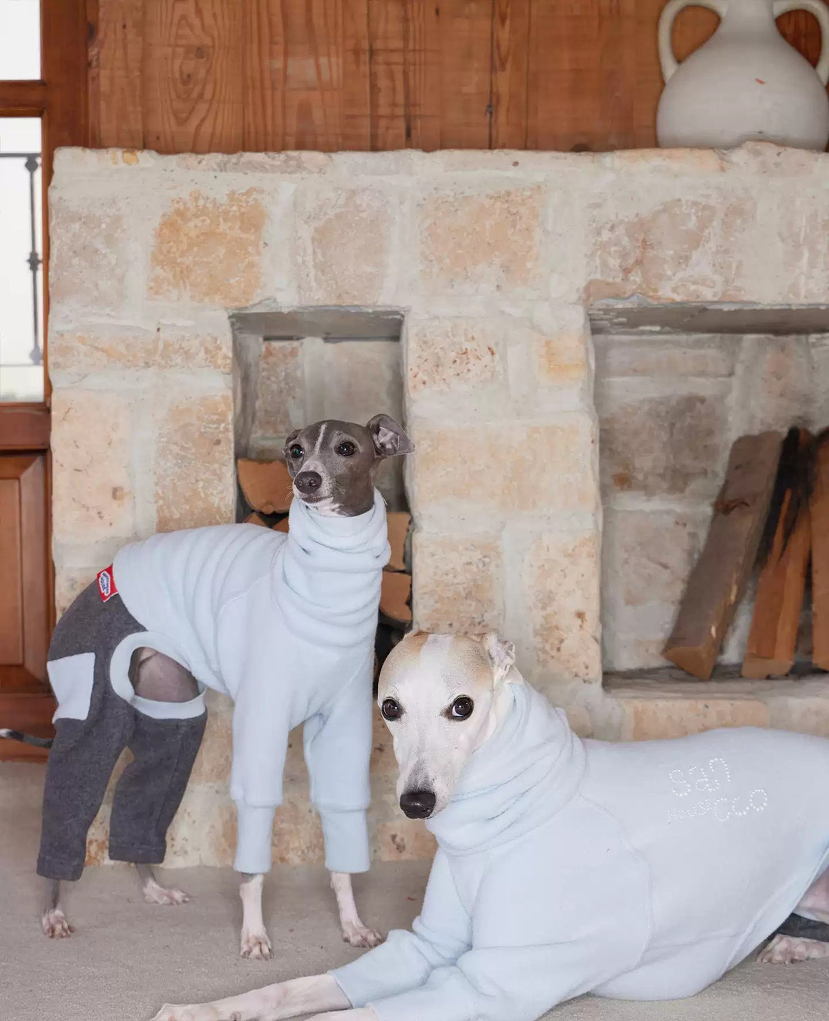 Two whippets in pale blue fleece coats, one standing with its high fold-over collar bunched at the neck and a second lying with its front paws stretched out, in front of a stone fireplace