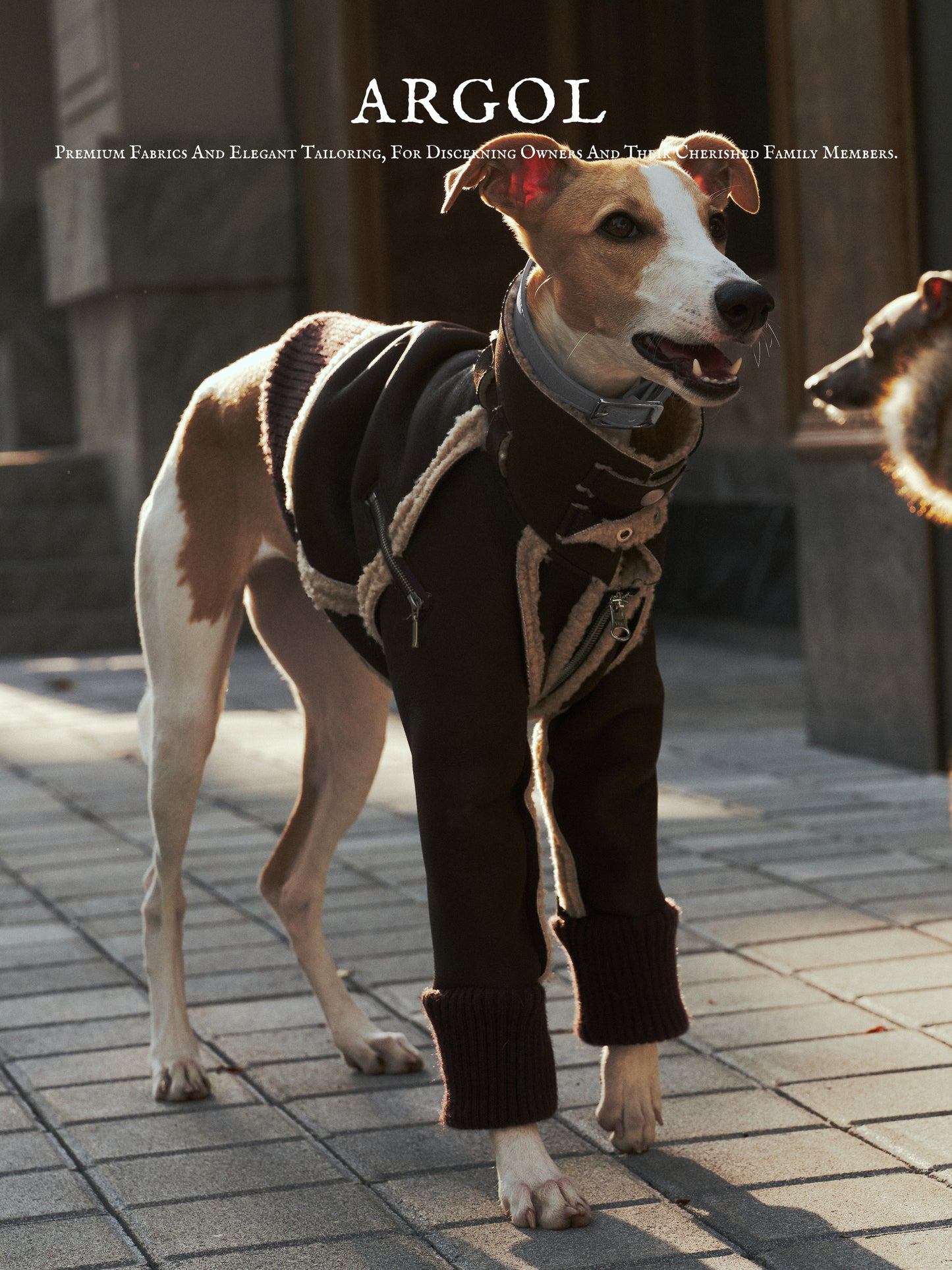 ARGOL Whippet British Winter Jacket