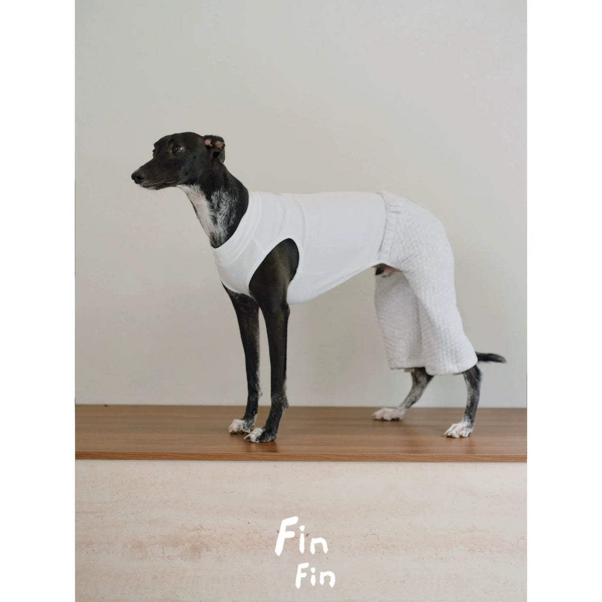 Dog Tank Top Jogger Jumpsuit