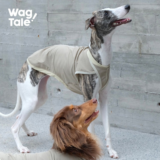 WagTale Cooling Dog Vest