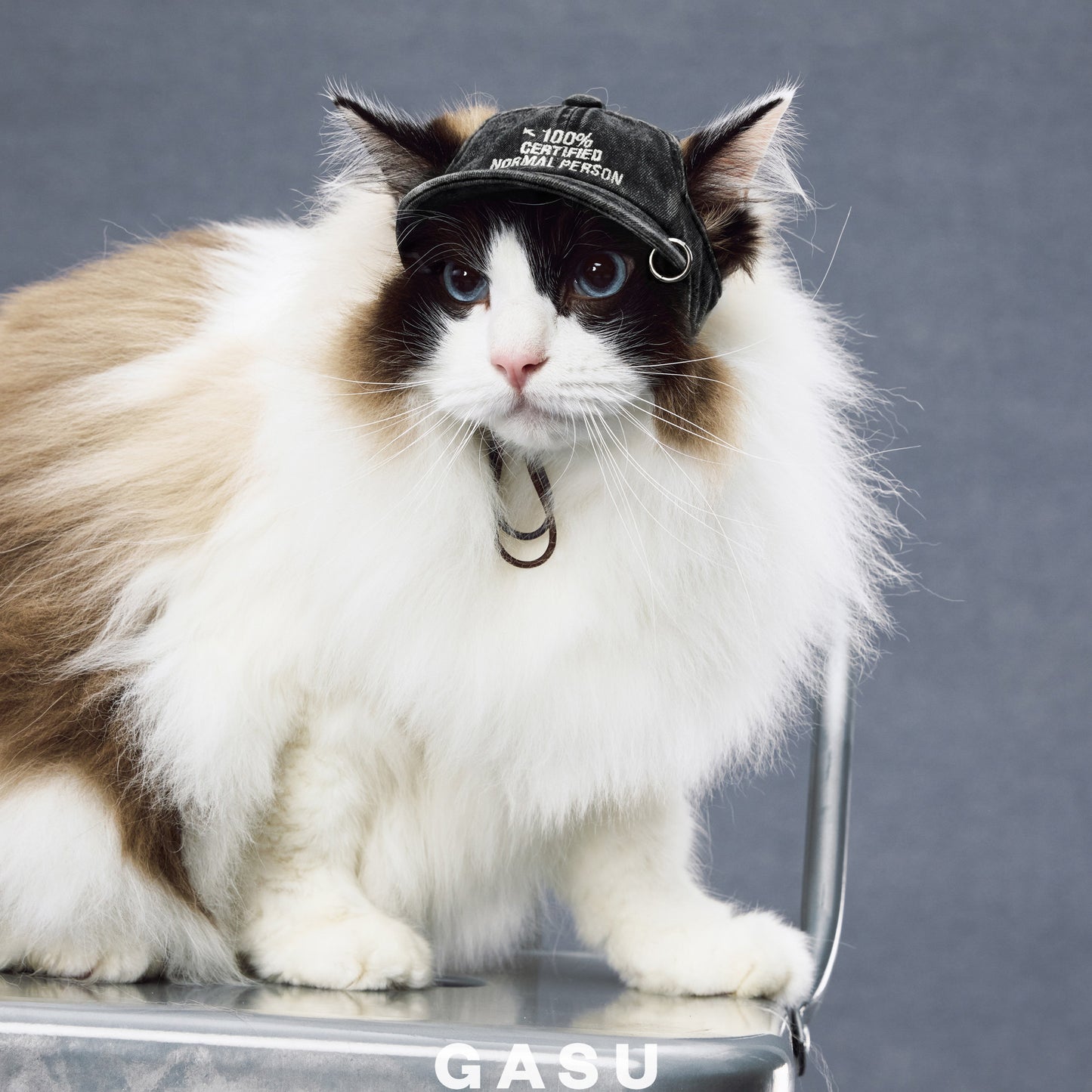 GASU®Moi Vintage Soft Baseball Cap for Dogs & Owners
