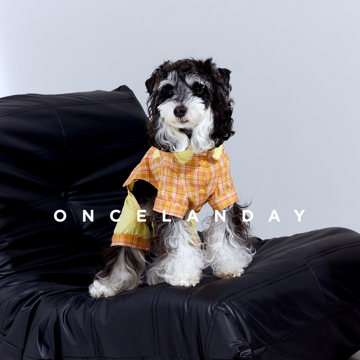 Matching Dog Pajama Set for Pet Parents