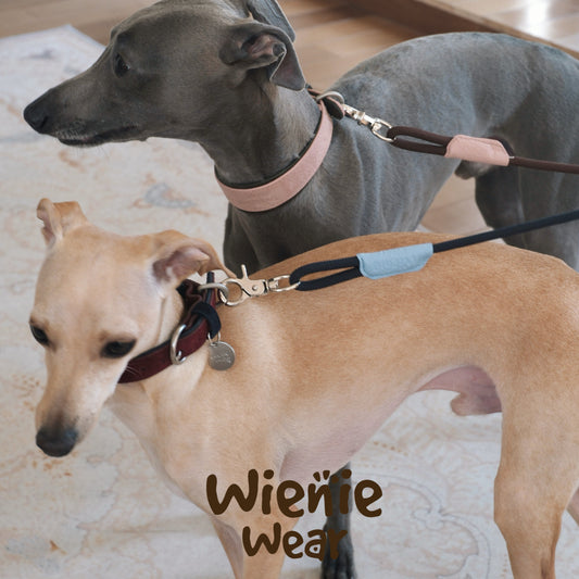 wienie wear Colorful Anti-Shock Leash