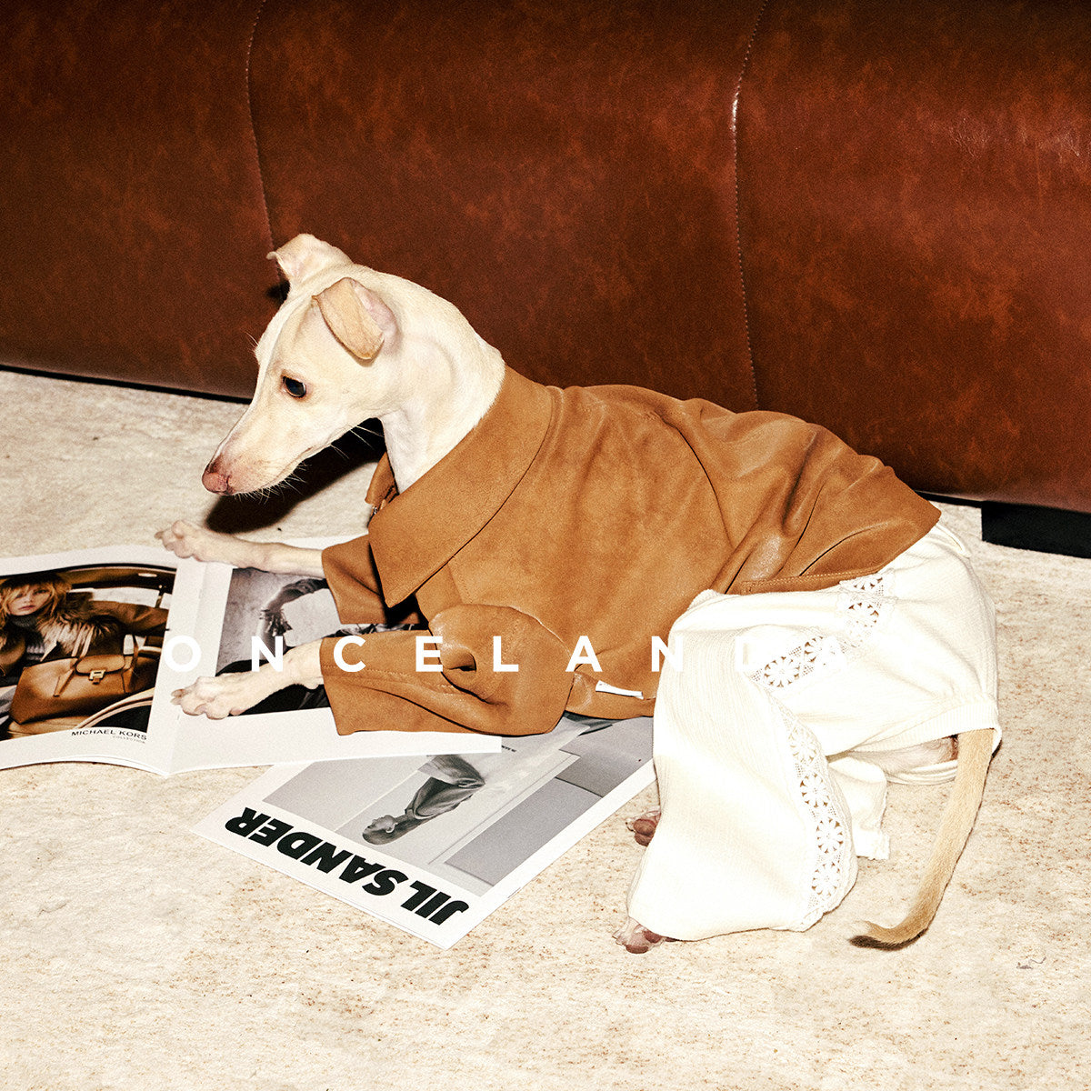 ONCELANDAY Fall Lace Patchwork Jumpsuit for Whippets