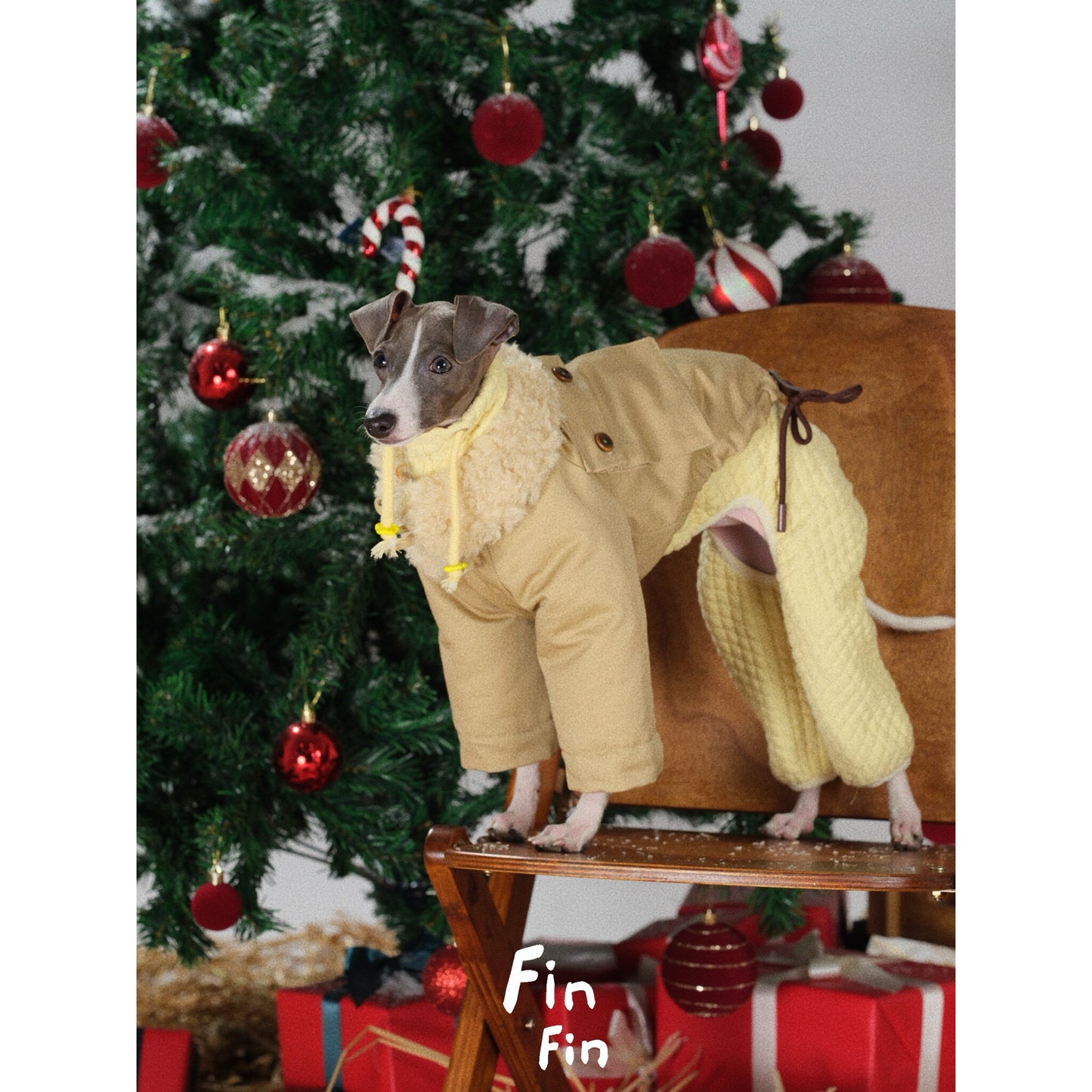 "Bread Crumb" Reversible Pet Windbreaker