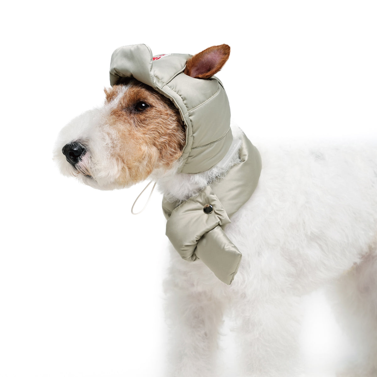 Embroidered Dog Winter Hat & Scarf Set