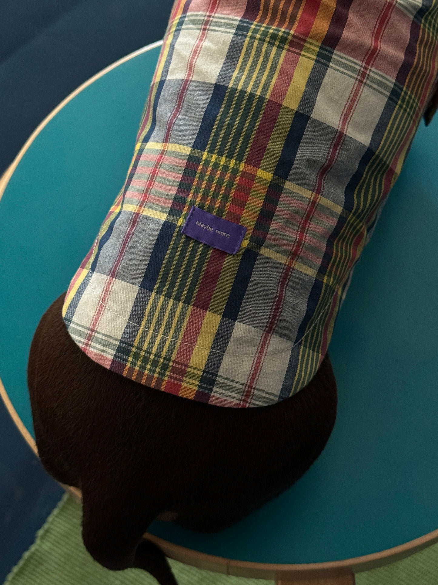 POXFFEE Plaid Shirt or Hat for Small Dogs