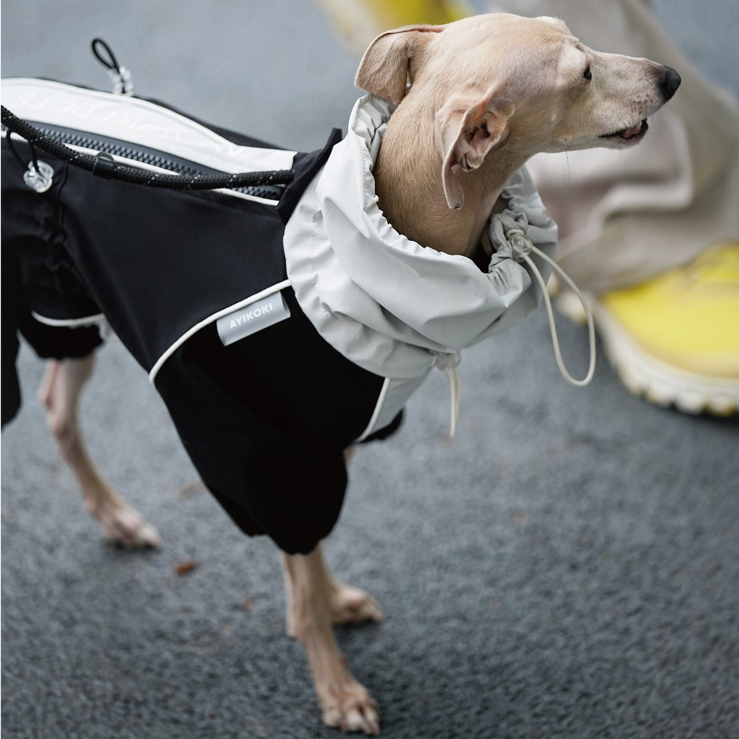 AYIKOKI Waterproof Windproof Dog Jacket