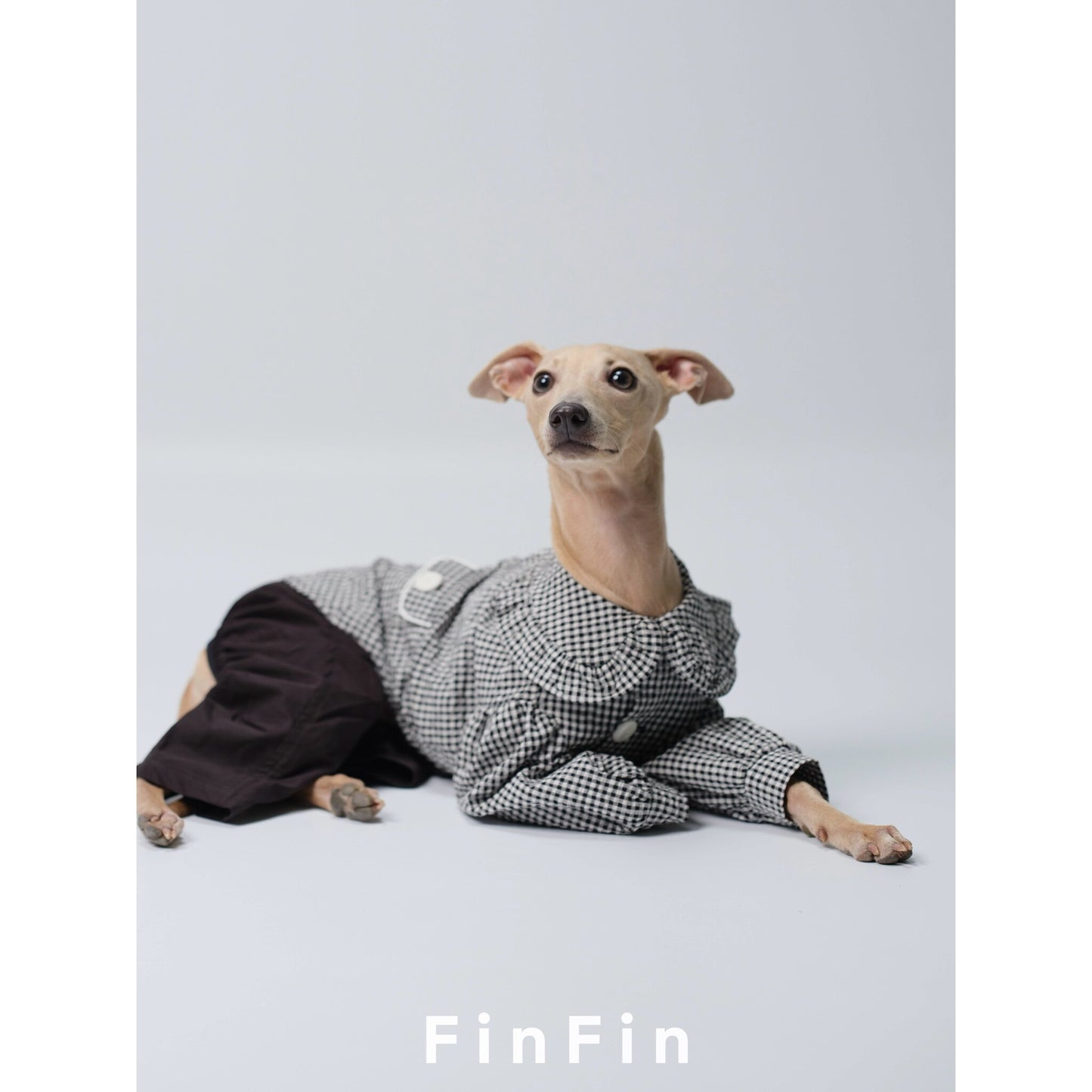 Linen Peter Pan Collar Pet Shirt