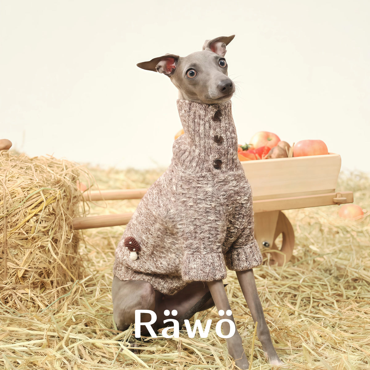 Ranch Story Handmade Mushroom Dog Sweaters Two-Leg Knit Top