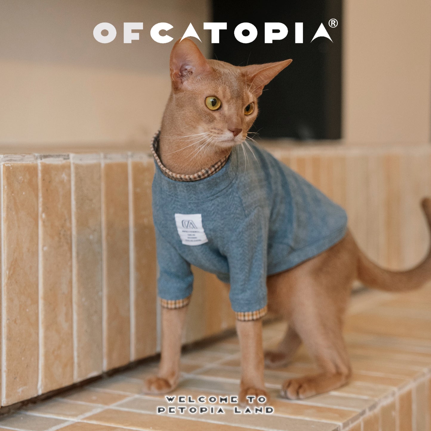 OfCATOPIA Soft Double-Collar Plaid Knit Sweater