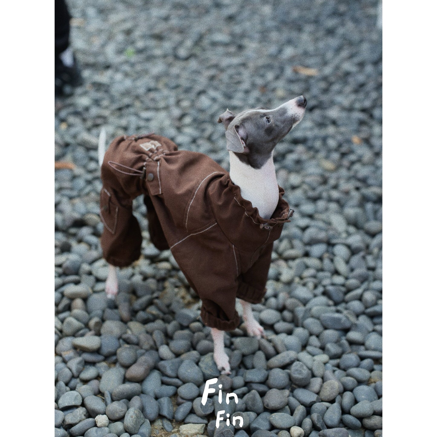 Four-Leg Utility Dog Coat with Contrast Stitching