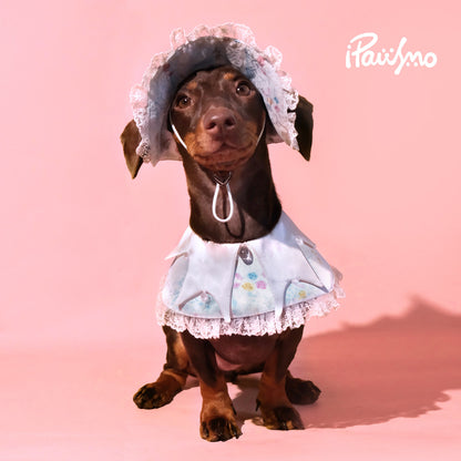 Lace Dog Bandana & Bucket Hat