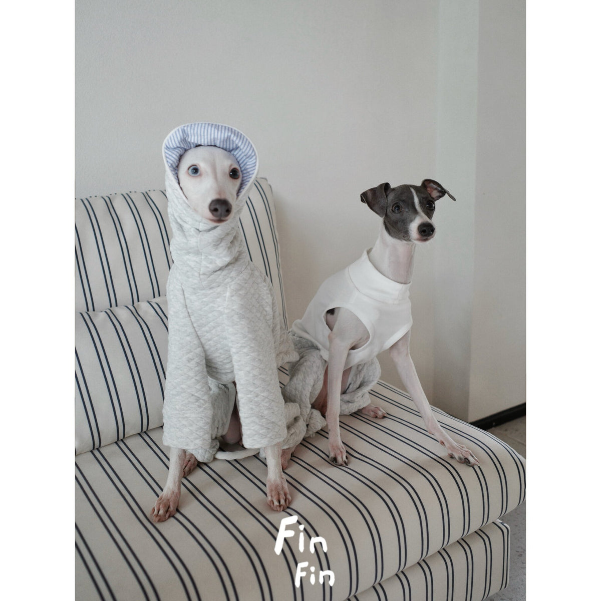 Dog Tank Top Jogger Jumpsuit