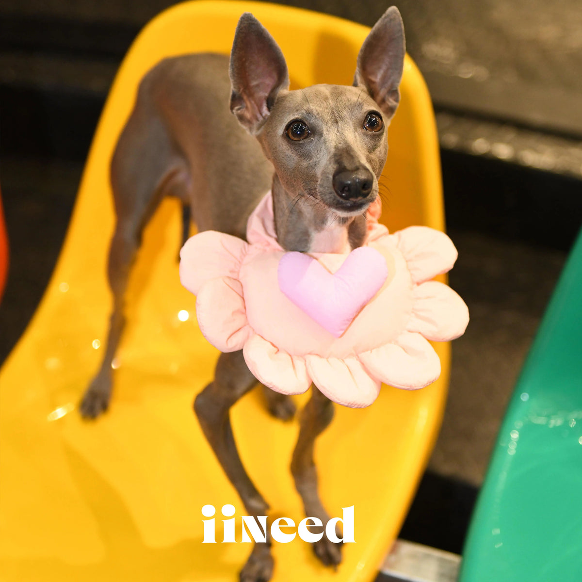 Padded Heart Pet Bib