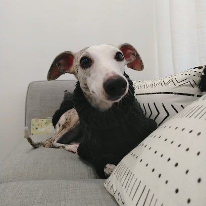 Custom Dog Sweaters Jumpsuit for Whippet Greyhound