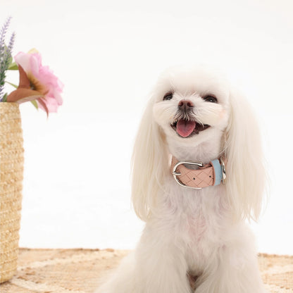Braided PU Pet Collar for Dog & Cat with Scarf Neck Protector