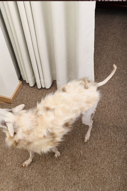 Faux Fur Drop Shoulder Dog Cape