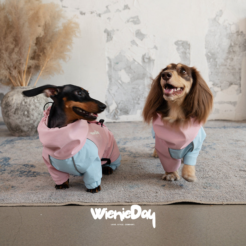Waterproof Dog Raincoat