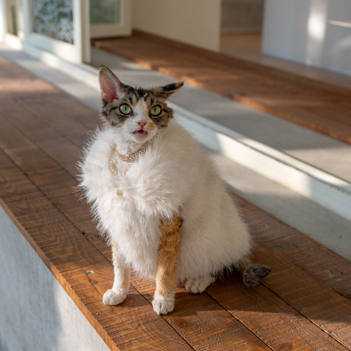 Faux Fur Cat Winter Vest Coat