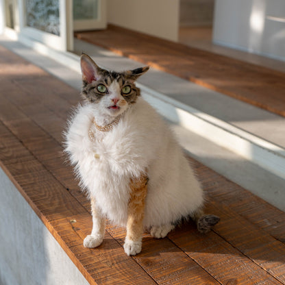 Faux Fur Cat Winter Vest Coat