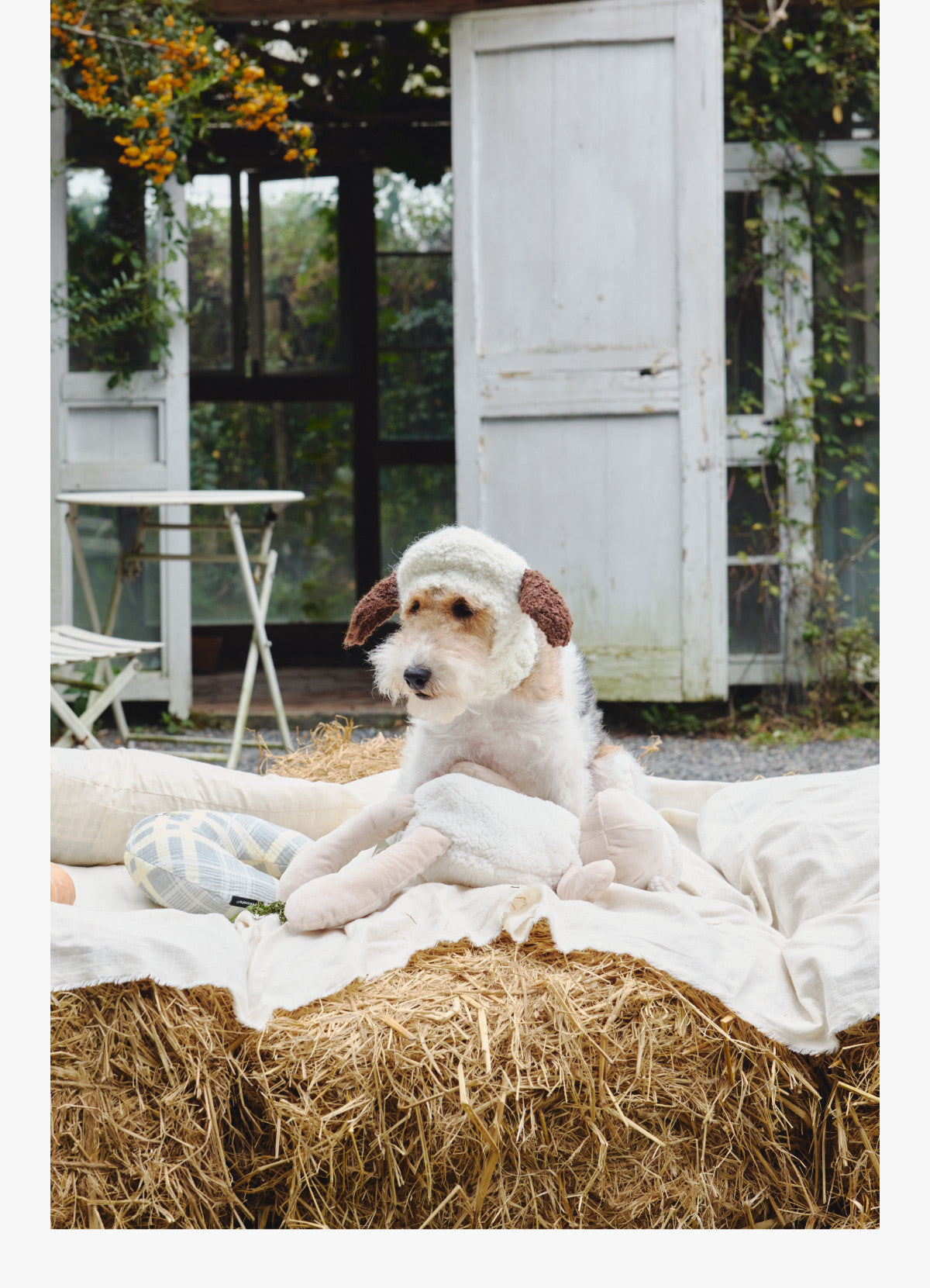 Lamb Ear Dog Winter Knit Hat