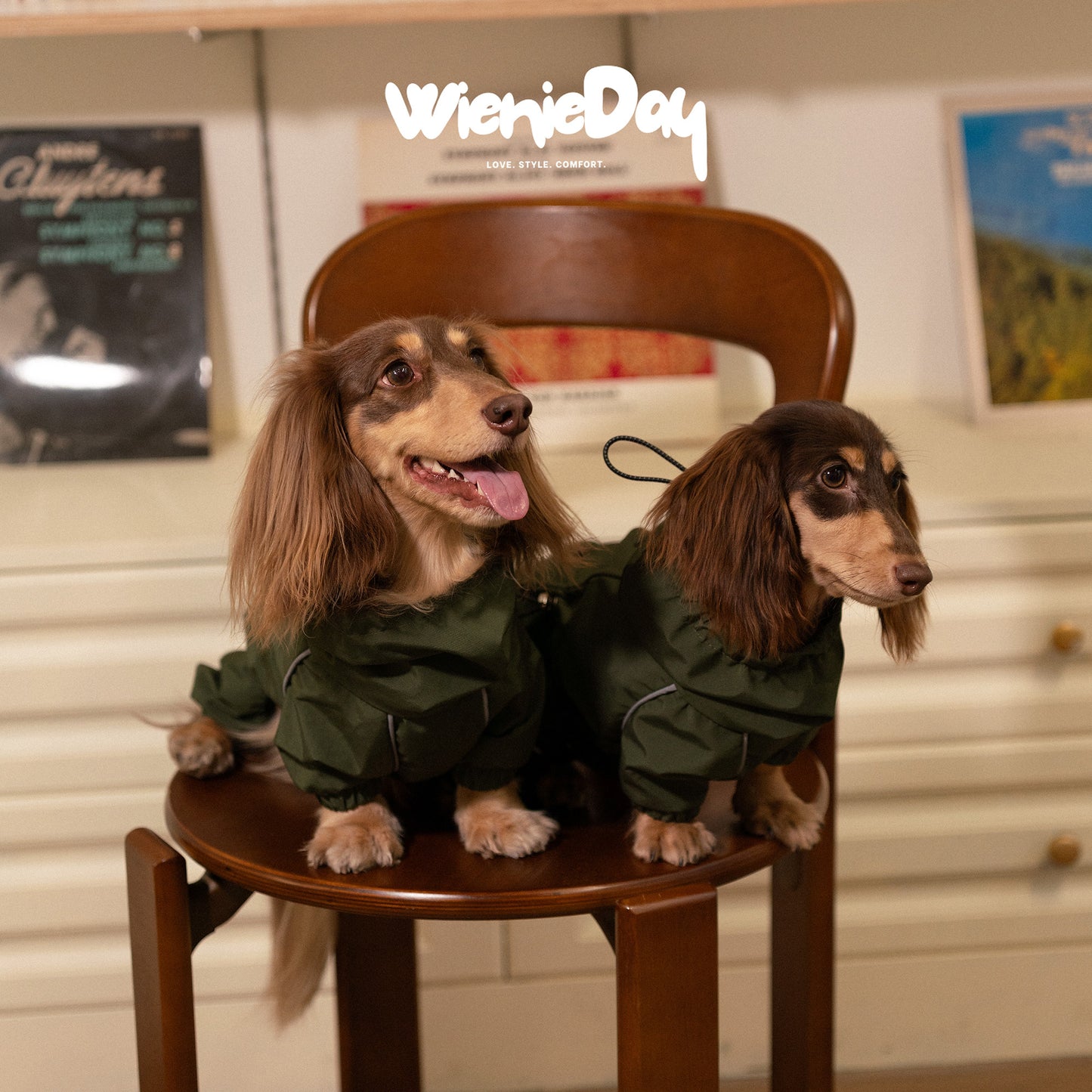 WienieDay Full-Body Dachshund Rain Jacket