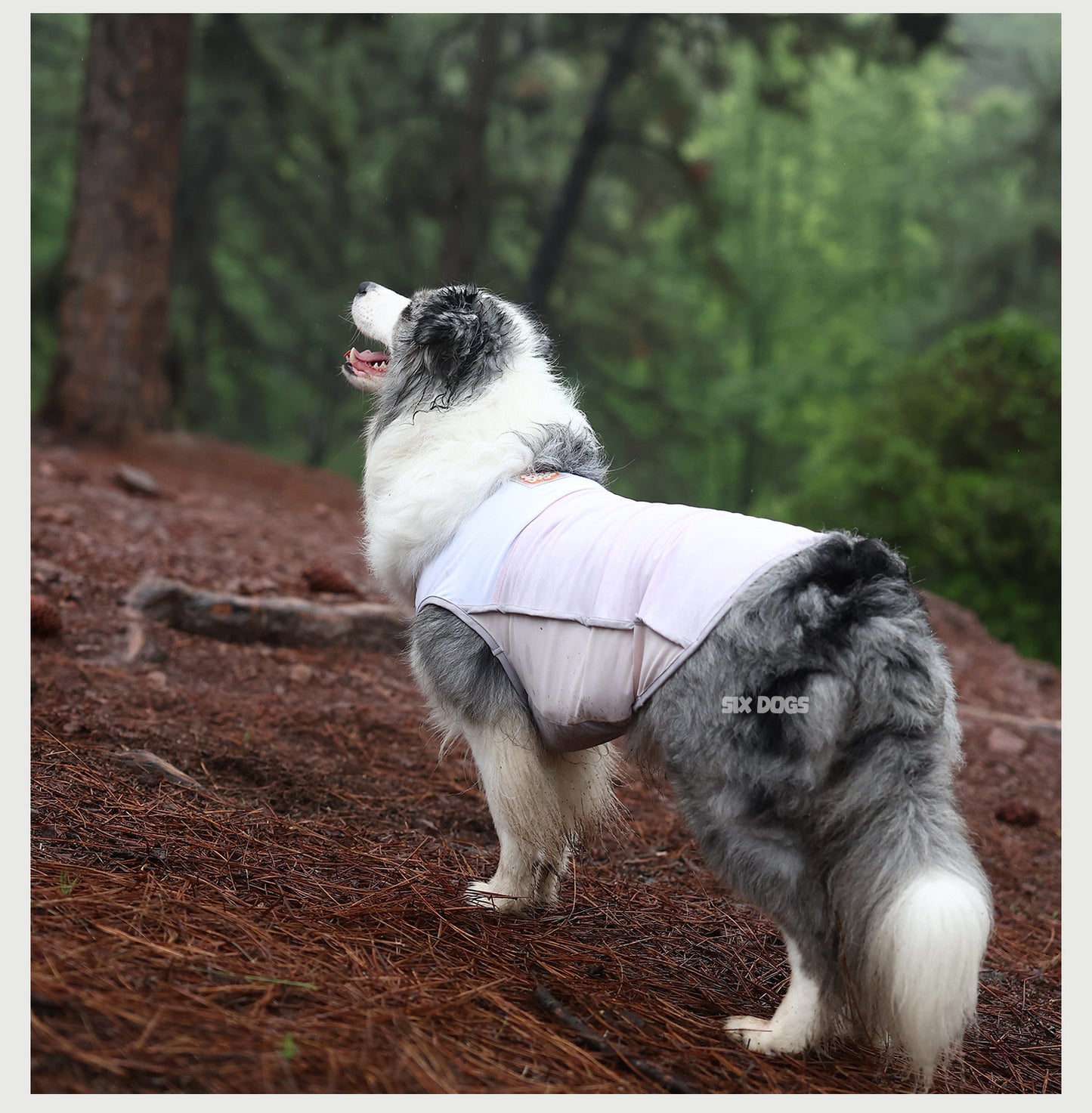 Cooling UV Protection Dog Vest
