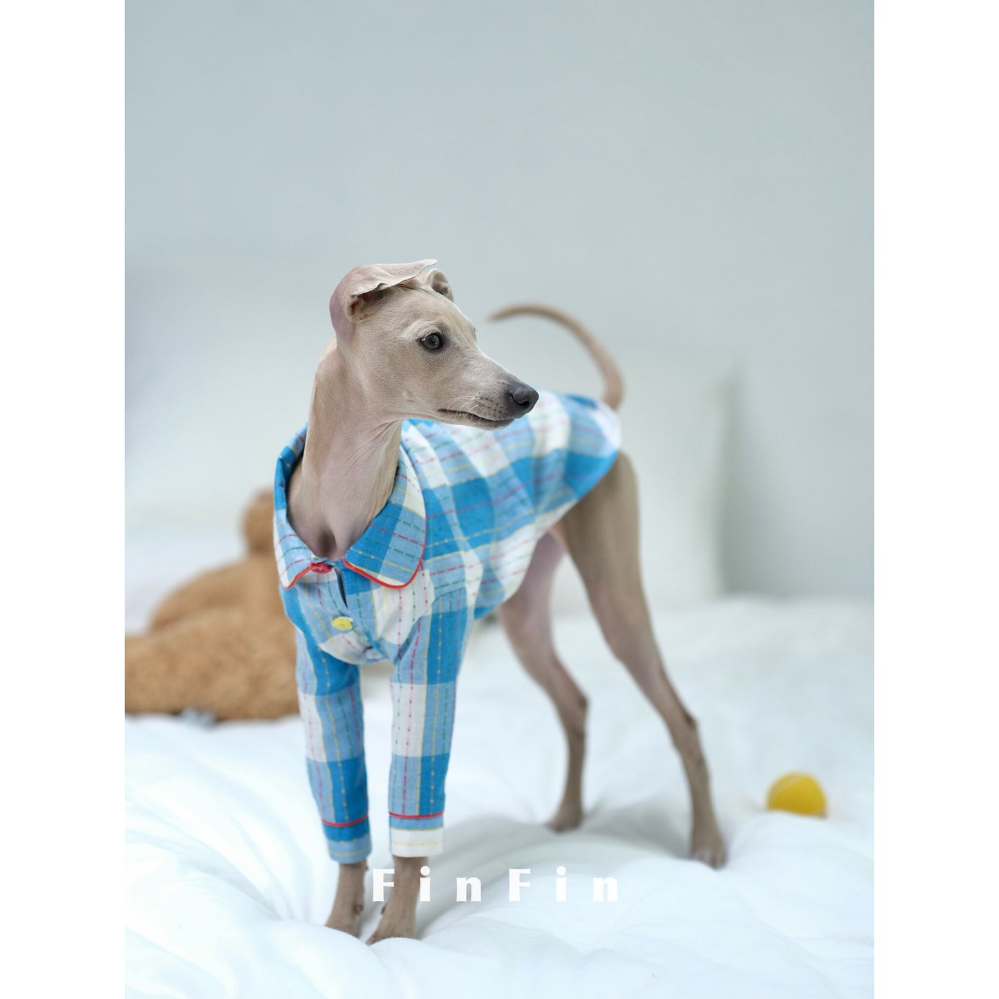 Plaid Cotton Dog Pajamas for Italian Greyhounds
