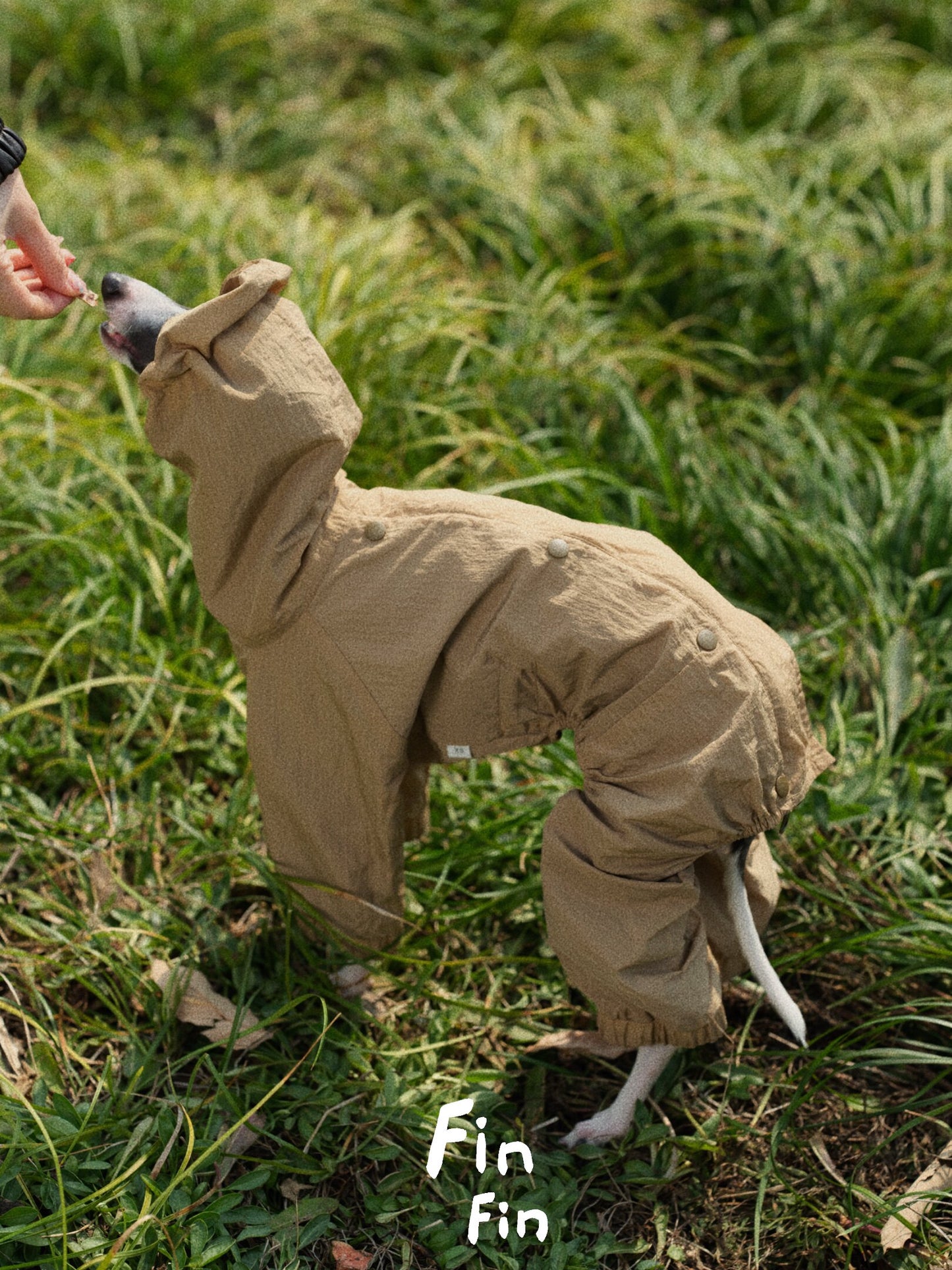 Reversible Four-Leg Water-Repellent Dog Raincoat